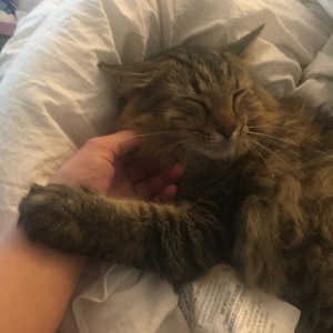 Fundraising Page: Grace Dam